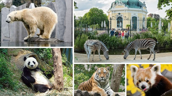 cung dien schonbrunn ao 3