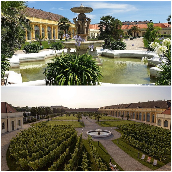 cung dien schonbrunn ao 8