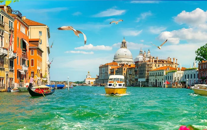 du ngoan bang gondola y 4