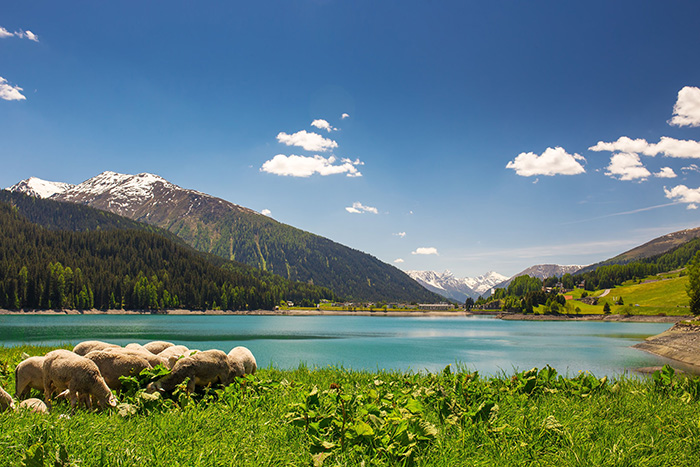 thi tran davos thuy si 3