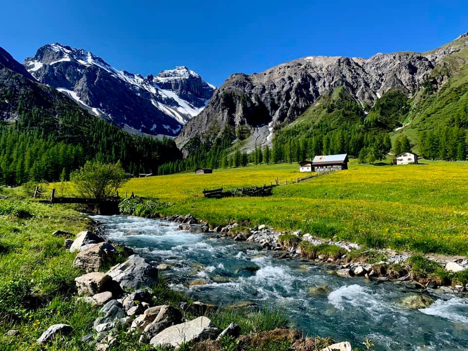 thi tran davos thuy si 4