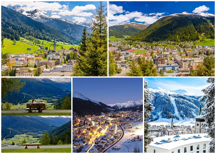 thi tran davos thuy si 8