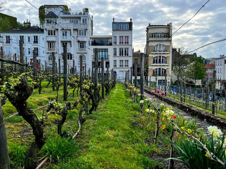Montmartre 3