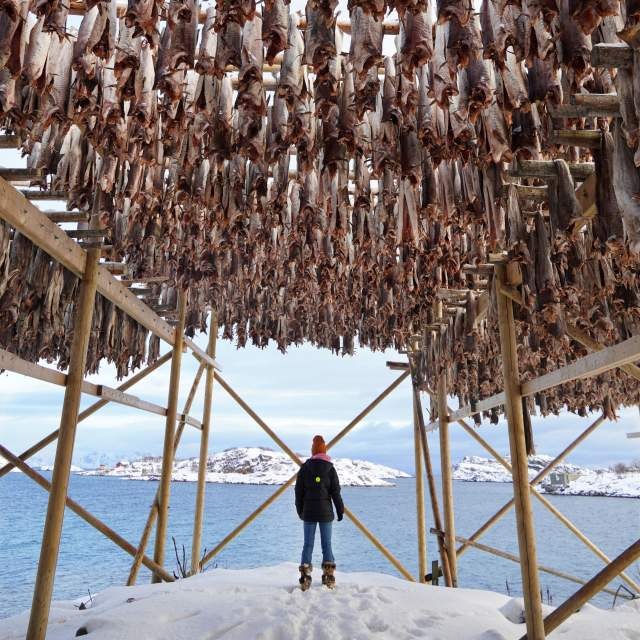 stockfish