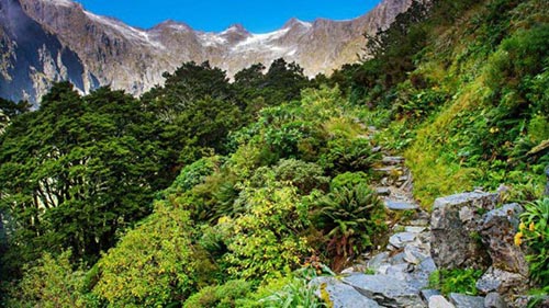 Thuong ngoan Milford TrailNew Zealand 1.1