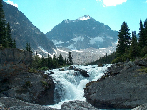 olympus 8