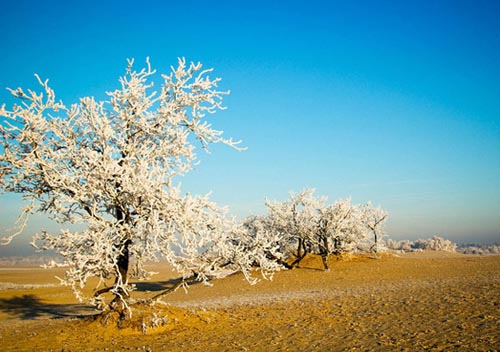 20 khoanh khac dep du lich ha lan 1.7