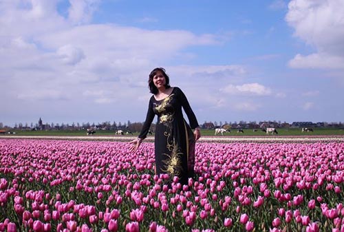 Ngam canh dong hoa tulip ha lan 7