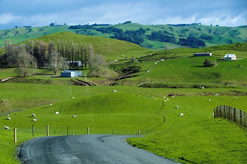 Ngoi lang hobbit newzealand 1