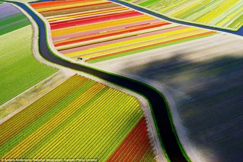 ngam nhung buc anh tuyet voi cua cuoc thi Anh du lich National Geographic 2015 tour24h 3
