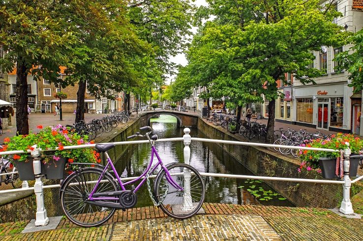 thi tran delft ha lan 12