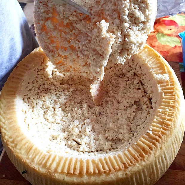 casu marzu y 6