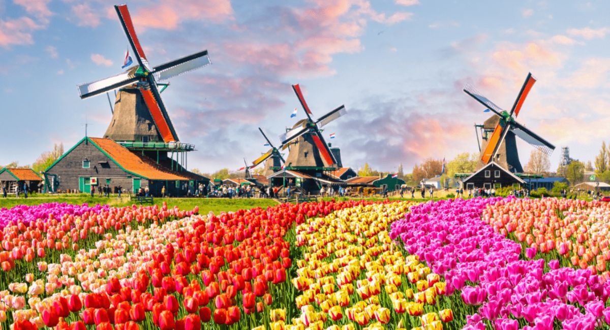 KEUKENHOF 1