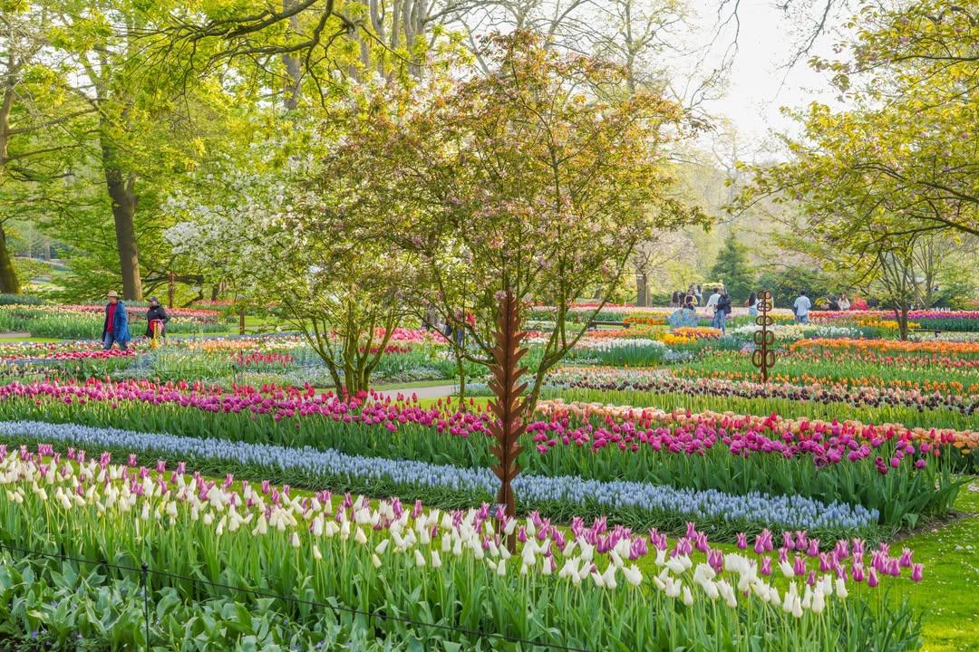 Keukenhof 3